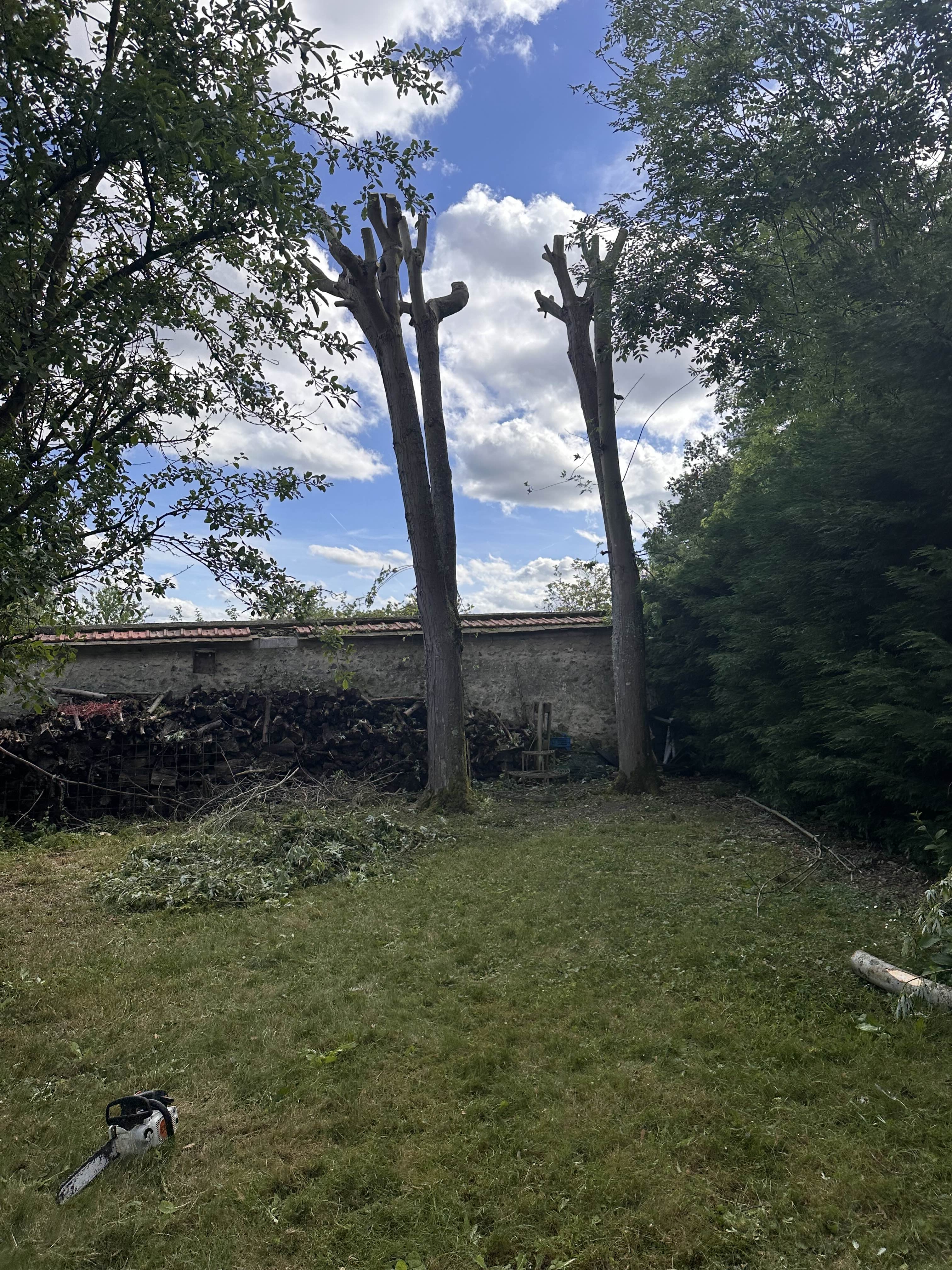 Rétention / Élagage